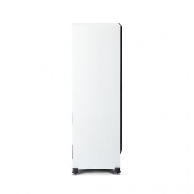 Paradigm Floorstanding Speaker - Monitor SE 6000F (W)